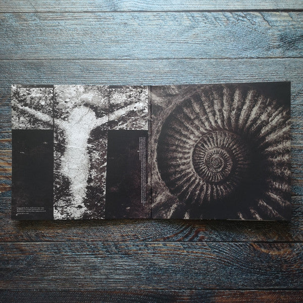 raison d'être : Enthralled By The Wind Of Loneliness (2xLP, Album, RE, RM)