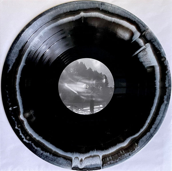 Frail Body : A Brief Memoriam (LP, Album, Bla)