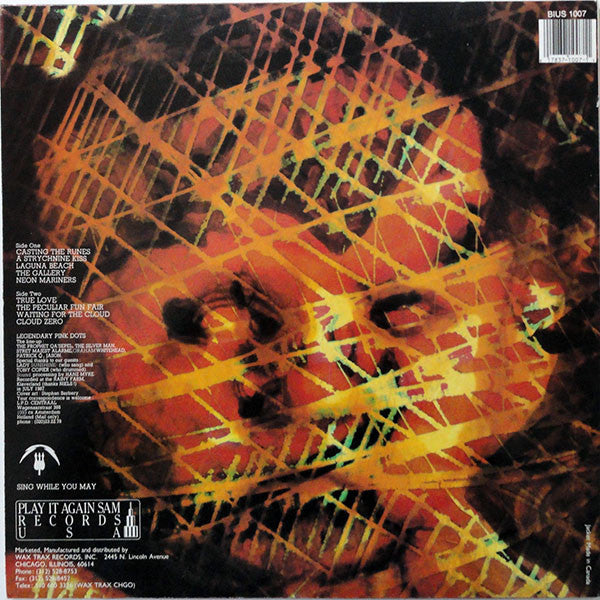 Legendary Pink Dots* : Any Day Now (LP, Album)
