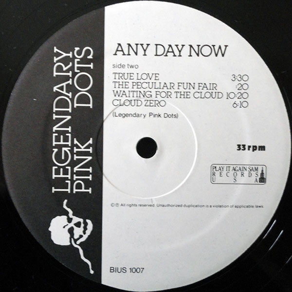 Legendary Pink Dots* : Any Day Now (LP, Album)