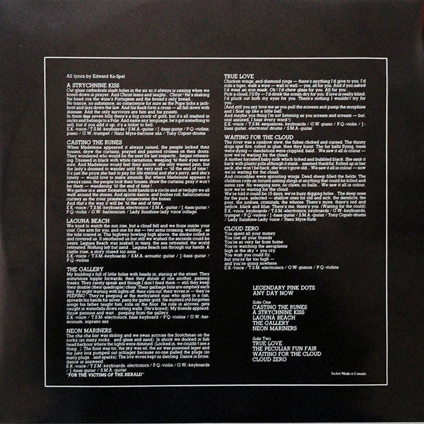 Legendary Pink Dots* : Any Day Now (LP, Album)