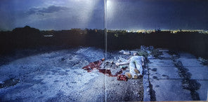 Andrew W.K. : God Is Partying (LP, Album, Dlx, Ltd, Cle)