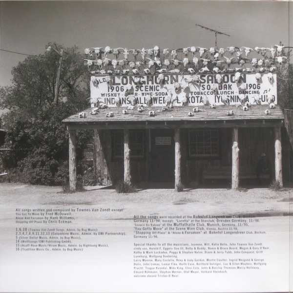 Townes Van Zandt : In Pain (LP, Album)