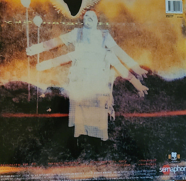 Flower : Hologram Sky (LP, Album)