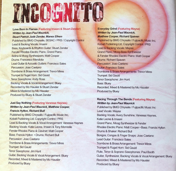 Incognito : In Search Of Better Days (CD, Album)