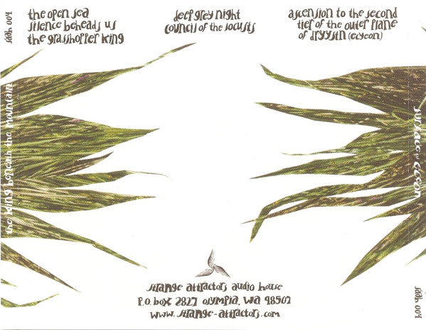 Surface Of Eceon* : The King Beneath The Mountain (CD, Album)