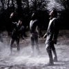 White Lichens* : White Lichens (CD, Album)