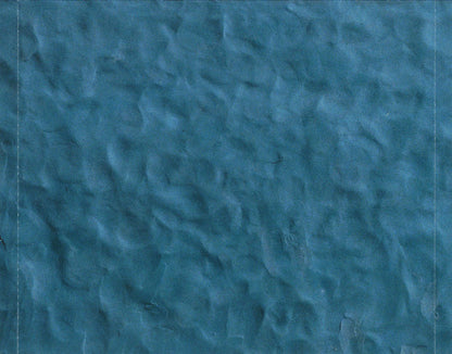 Max Lässer Und Das Ueberlandorchester : Überländler (CD, Album + DVD)