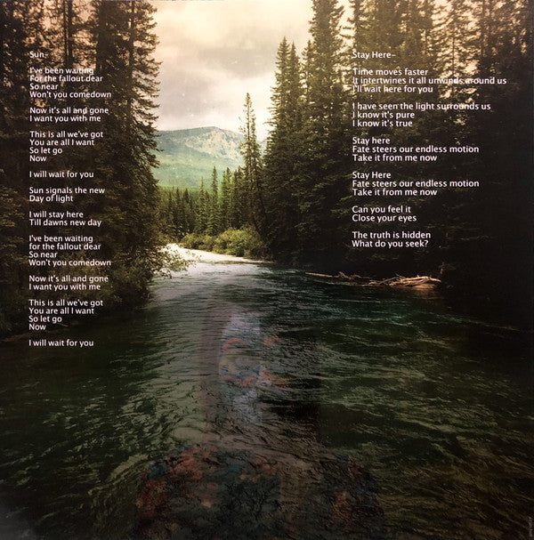 Sarah Longfield : Disparity (LP, Album, Ltd)