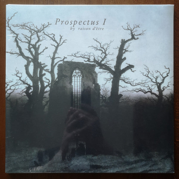 raison d'être : Prospectus I (2xLP, Album, RE, RM)