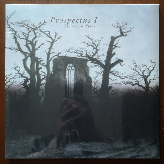 raison d'être : Prospectus I (2xLP, Album, RE, RM)