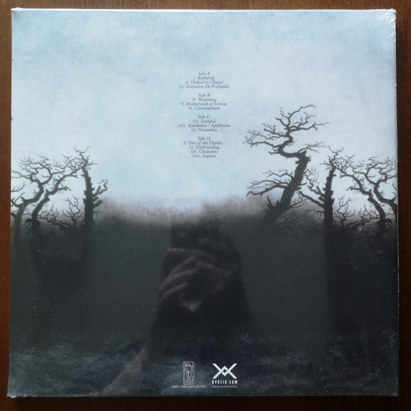 raison d'être : Prospectus I (2xLP, Album, RE, RM)