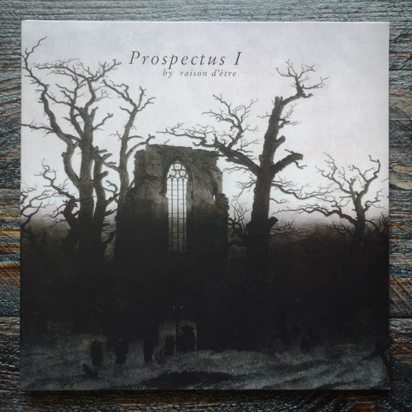 raison d'être : Prospectus I (2xLP, Album, RE, RM)