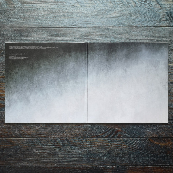 raison d'être : Prospectus I (2xLP, Album, RE, RM)