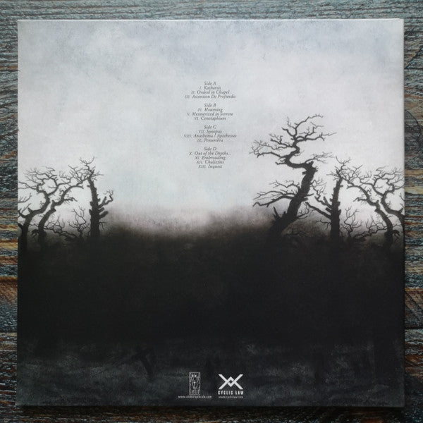 raison d'être : Prospectus I (2xLP, Album, RE, RM)