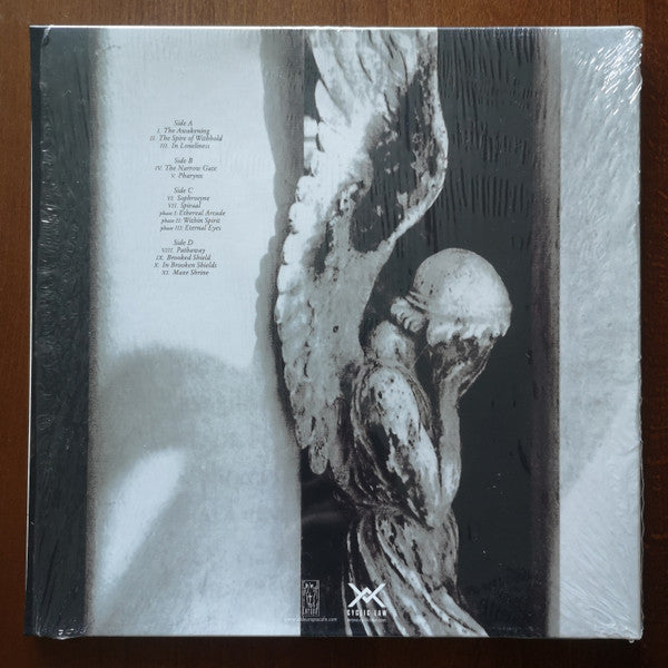 raison d'être : Enthralled By The Wind Of Loneliness (2xLP, Album, RE, RM)