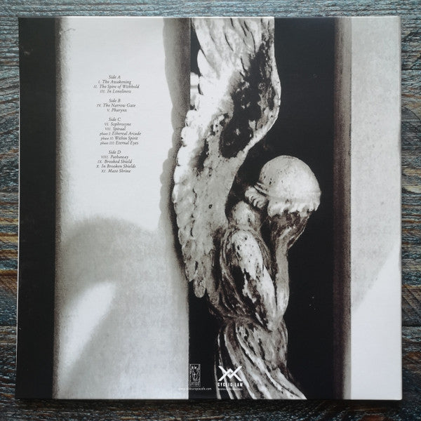 raison d'être : Enthralled By The Wind Of Loneliness (2xLP, Album, RE, RM)