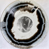 Frail Body : A Brief Memoriam (LP, Album, Bla)