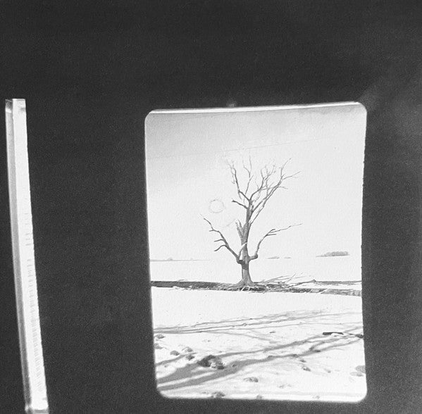 Frail Body : A Brief Memoriam (LP, Album, Bla)