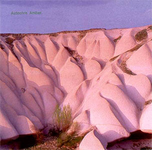 Autechre : Amber (CD, Album)