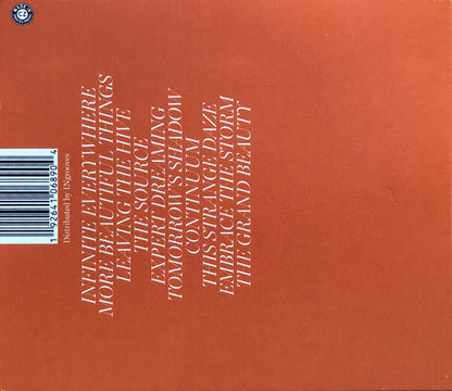 Eric Hilton : Infinite Everywhere (CD, Album)