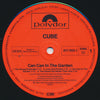 Cube (2) : Can Can In The Garden (LP, Album)
