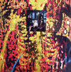 Coil : Love's Secret Domain (LP, Album)