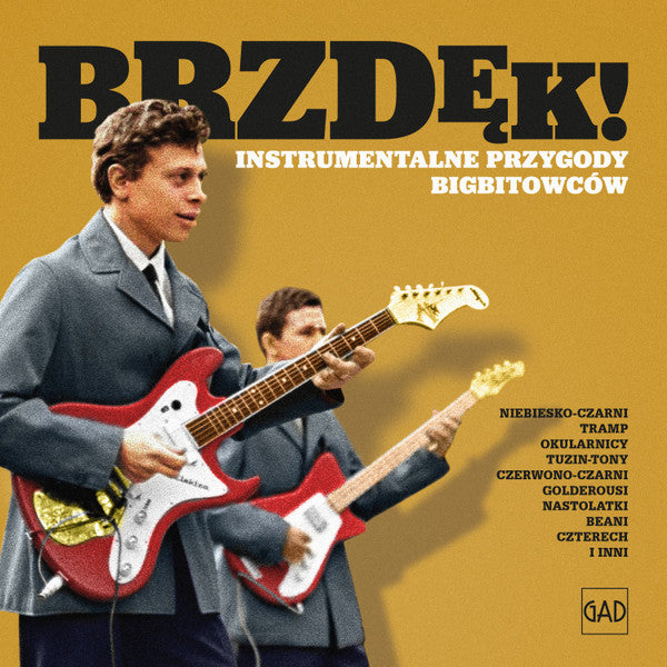 Various : Brzdęk! Instrumentalne Przygody Bigbitowców (CD, Album)