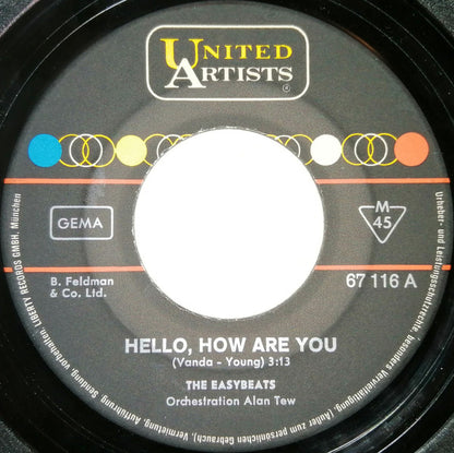 The Easybeats : Hello, How Are You / Come In You'll Get Pneumonia (7", Single)