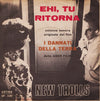 New Trolls : Cristalli Fragili / Ehi, Tu Ritorna (7")