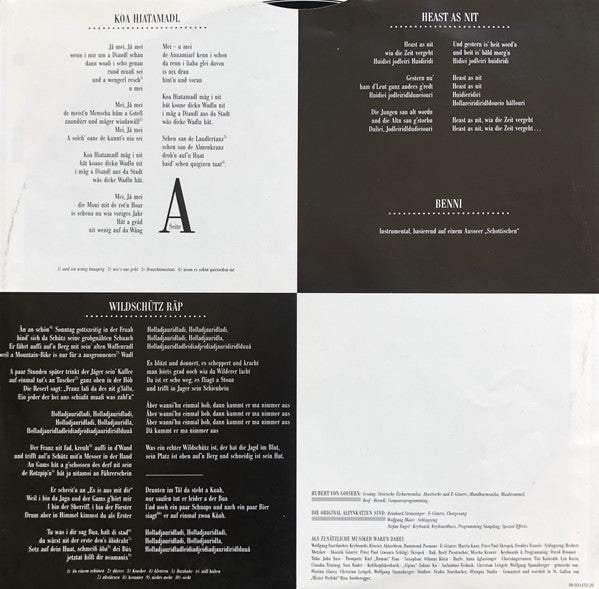 Hubert Von Goisern Und Die Original Alpinkatzen* : Aufgeigen Stått Niederschiassen (LP, Album)