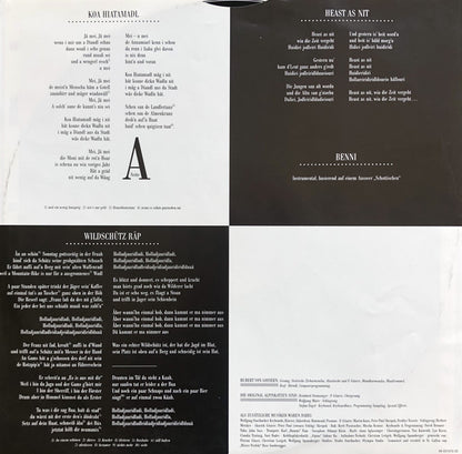 Hubert Von Goisern Und Die Original Alpinkatzen* : Aufgeigen Stått Niederschiassen (LP, Album)