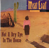Meat Loaf : Not A Dry Eye In The House (CD, Single)