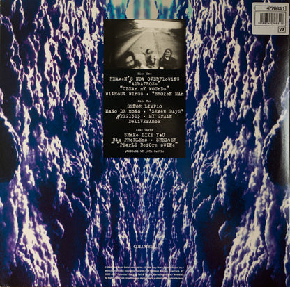 Corrosion Of Conformity : Deliverance (LP + LP, S/Sided, Etch + Album)