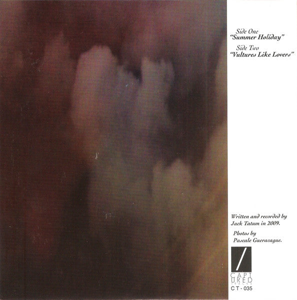 Wild Nothing : Summer Holiday (7", Single)