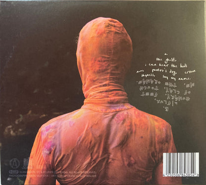 Anna B Savage : In|Flux (CD, Album)