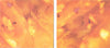 Anna B Savage : In|Flux (CD, Album)