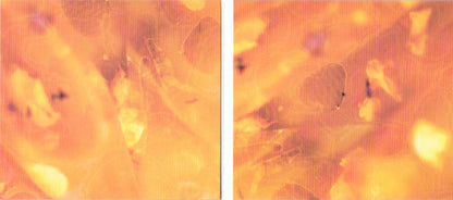 Anna B Savage : In|Flux (CD, Album)