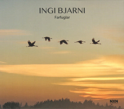 Ingi Bjarni Skúlason : Farfuglar (CD, Album)