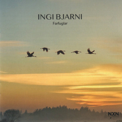 Ingi Bjarni Skúlason : Farfuglar (CD, Album)