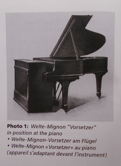 Max Reger And Frieda Kwast-Hodapp : Today Playing Their 1905 / 1920 Interpretations / Selected Works By Reger (CD, Album)