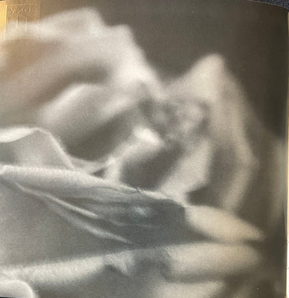 Korngold* • Schmidt* – Leon Fleisher, Joseph Silverstein, Jaime Laredo, Joel Smirnoff, Michael Tree, Yo-Yo Ma : Music For Strings And Piano Left Hand (CD, Album)