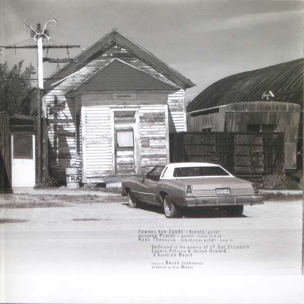 Townes Van Zandt : In Pain (LP, Album)