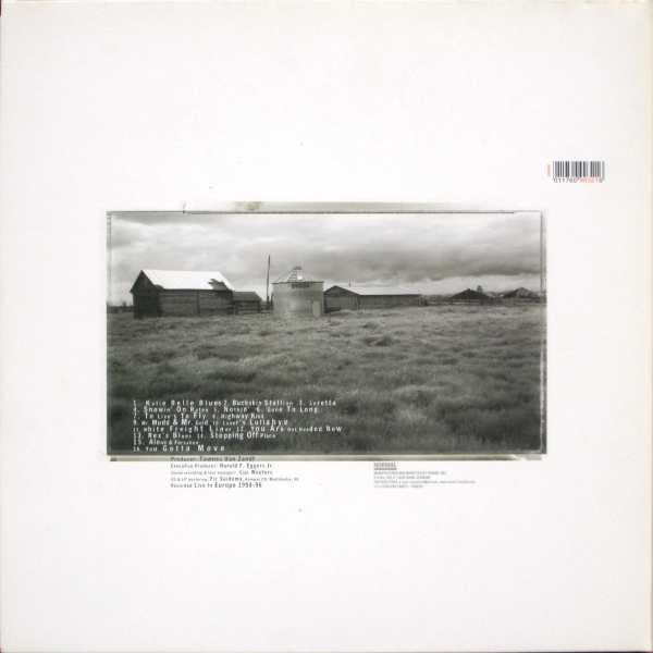 Townes Van Zandt : In Pain (LP, Album)