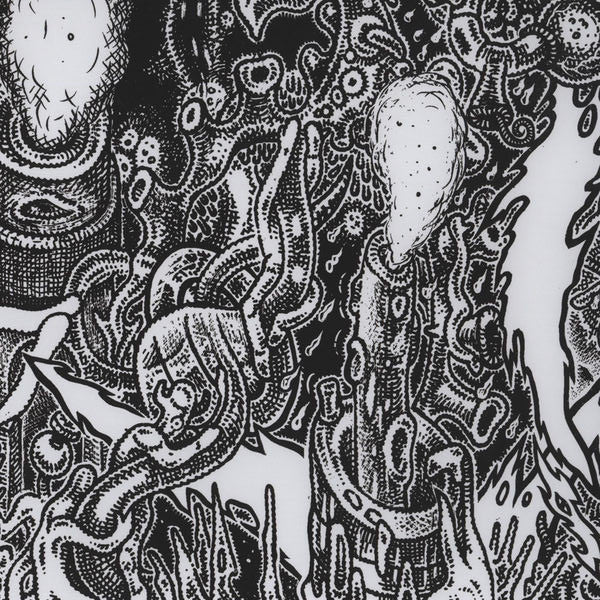 Shackleton : Music For The Quiet Hour / The Drawbar Organ EPs (CD + 3x12" + Box, Album, Ltd)