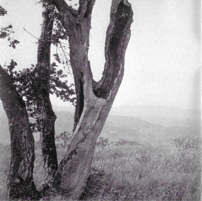 Alfred Newman : Love Is A Many Splendored Thing (Original Motion Picture Soundtrack) (CD, Album, Ltd)