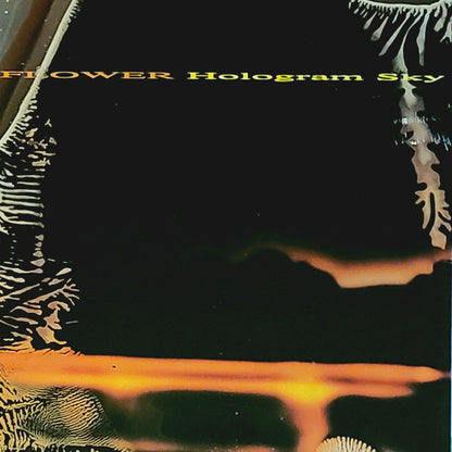 Flower : Hologram Sky (LP, Album)