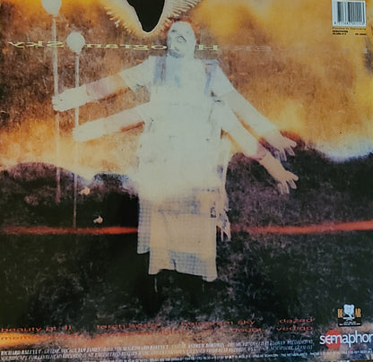 Flower : Hologram Sky (LP, Album)