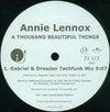 Annie Lennox : A Thousand Beautiful Things (2x12", Promo)