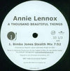 Annie Lennox : A Thousand Beautiful Things (2x12", Promo)